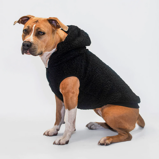 My Alphapet Dog Poop Bags Refill Rolls