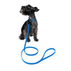 Dogline Biothane Waterproof Dog Leash Strong Coated Nylon